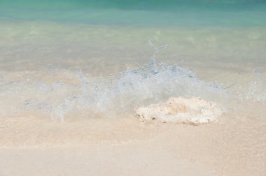 Kırık bir mercan sahilde smashing dalgalar