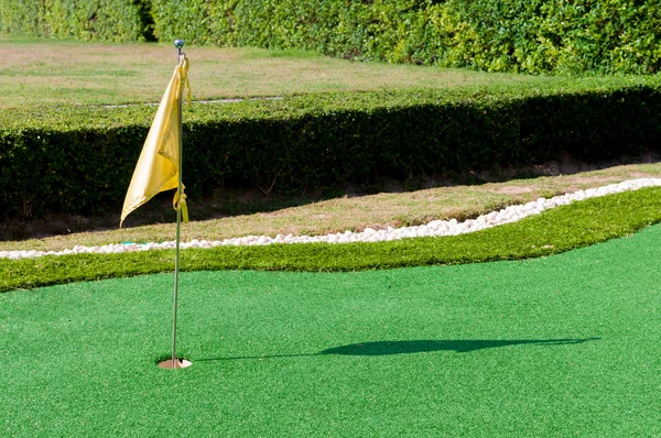 Mini golf deliği yeşil ve bayrak