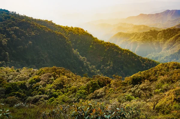 Floresta tropical na montanha e vale atrás em Tak, Tailândia — Fotografia de Stock