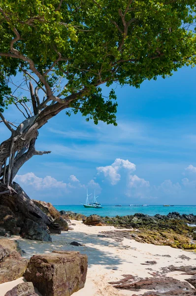 Тихий песчаный пляж с оттенками деревьев на острове Пхи Пхи, Кра — стоковое фото