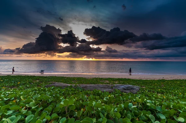 Stranden på morgonen härlighet på stranden och log trä med människor på sun — Stockfoto