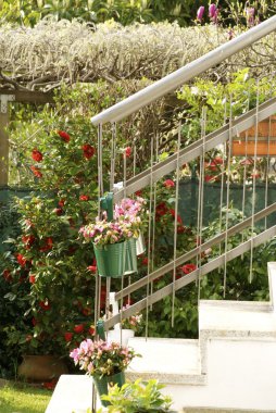 çiçekler merdivenlerde