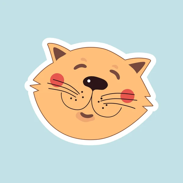 kedi mavi zemin üzerine