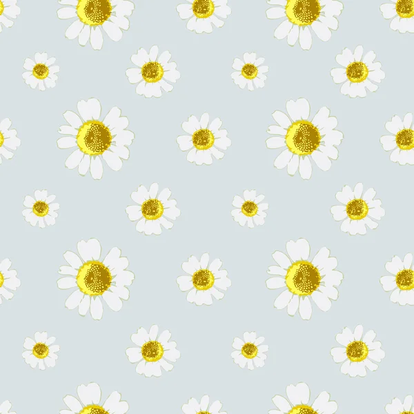 Seamless background with daisies, flowers