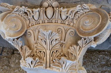 Yalnız bırakılan bir kuğu.