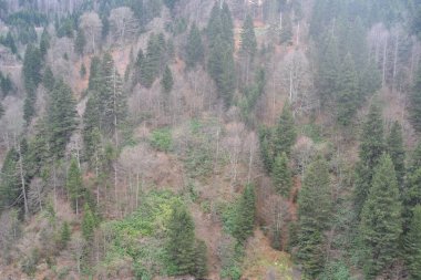 Başarılı olan güzel manzara çekimleri