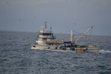 farklı türde su araçları