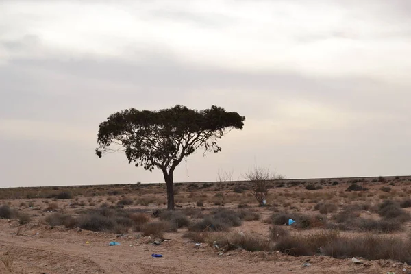 Kuzey Afrika 'dan en güzel izlenimler.