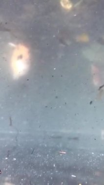 Suyun altında sazan balığı vuruşunu izliyorum.