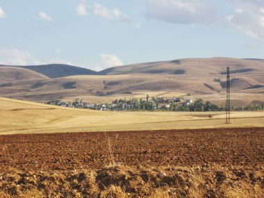 Buğday hasadından sonra manzara sadece sarı