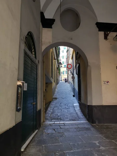 Les Rues Étroites Italie Seul Animal Meute Chargé Peut Passer — Photo