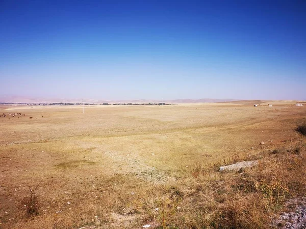 Landschaft Nach Der Weizenernte Nur Gelb — Stockfoto