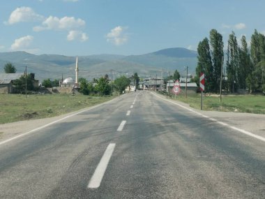 Araba yolu kenarındaki çiçekler doğanın ortasında bahar gibi arka planda