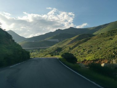 Yeşil botanik yazıyla rahatlamak için rahatlatıcı manzarası olan çok güzel bir manzara.
