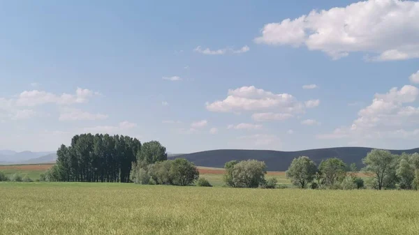 Sehr Schöne Landschaft Mit Beruhigendem Ausblick Zum Entspannen Mit Sommerlich — Stockfoto