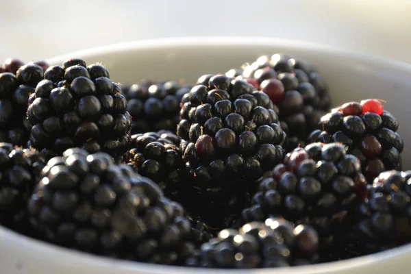 Blackberry Delicioso Brillante Tazón Blanco Redondo — Foto de Stock