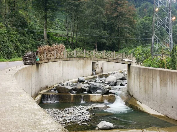 River Green Park Canal — Stock Photo, Image