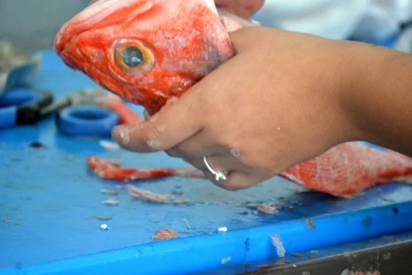 Čištění Ryb Pod Vodou Příprava Grilování — Stock fotografie