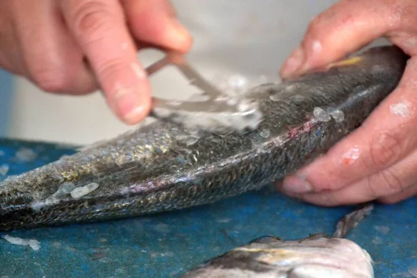 Schoonmaken Van Vis Onder Water Voorbereiding Voor Barbecue — Stockfoto