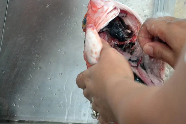 cleaning fish under water, preparation for barbecue