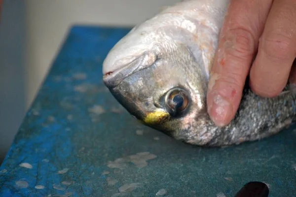 Limpieza Peces Bajo Agua Preparación Para Barbacoa — Foto de Stock