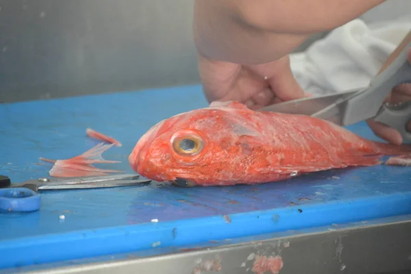Приготовление Красной Рыбы Красной Рыбы Барбекю — стоковое фото