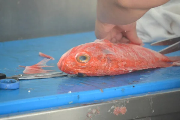 Приготовление Красной Рыбы Красной Рыбы Барбекю — стоковое фото