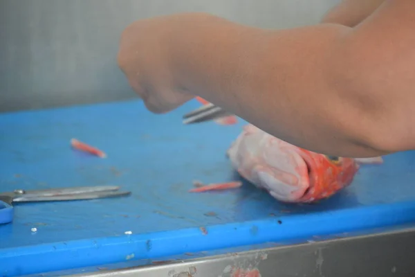Preparación Barbacoa Pescado Rojo Pescado Rojo — Foto de Stock