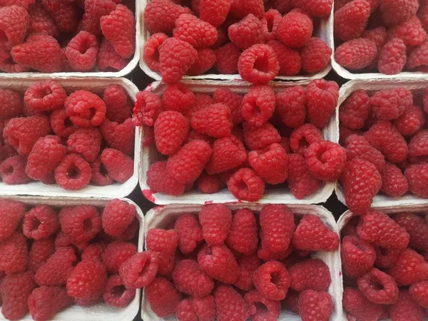 kırmızı ahududular kaselerde, olgun meyveler