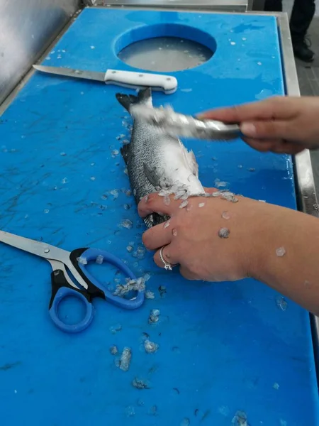 Het Schoonmaken Van Onderwater Voorbereiding Van Een Verse Vis Door — Stockfoto