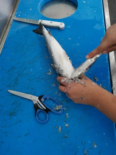 Het Schoonmaken Van Onderwater Voorbereiding Van Een Verse Vis Door — Stockfoto