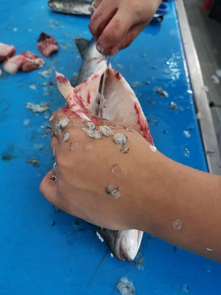 Limpiar Agua Preparando Pescado Fresco Por Pescador — Foto de Stock