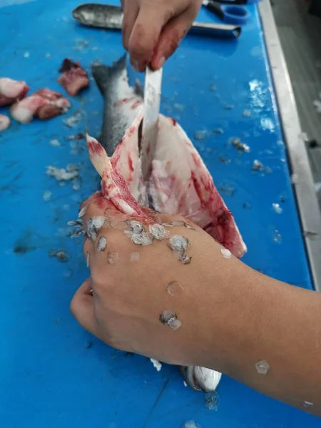 Suyun altını temizlemek balıkçının taze balığını hazırlamak.