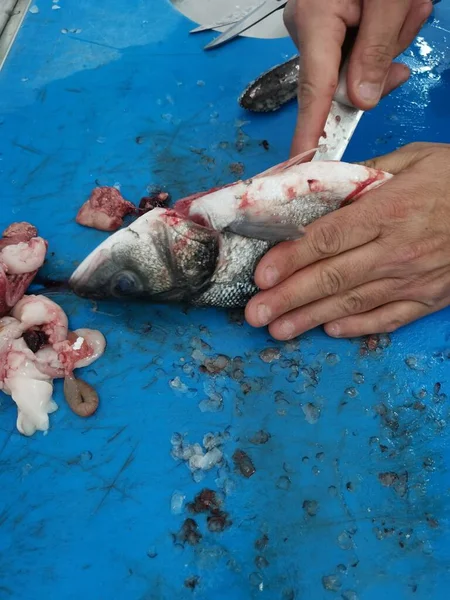 Очистка Подводной Рыбы Приготовленной Рыбаком — стоковое фото