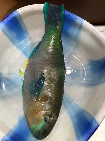 Papageienfisch Sehr Lecker Frisch Ausgewogen Zum Grillen — Stockfoto
