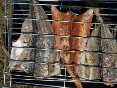 Yeni yakalanan balıklar neredeyse canlıdır.