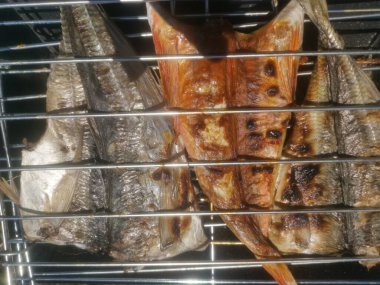 Yeni yakalanan balıklar neredeyse canlıdır.