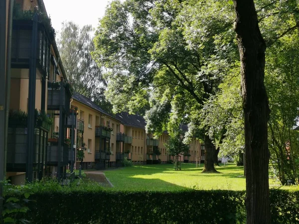 Gelb Gestrichene Häuser Rheinbauweise Mit Schönem Garten — Stockfoto