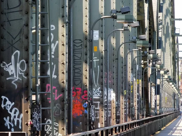 Köln Yakınlarındaki Ren Nehri Nde Demiryolu Köprüsü — Stok fotoğraf