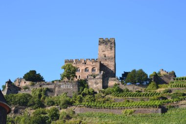 Yazın Ren nehrindeki manzaralar güzel yeşil botanikle karakterize edilir.