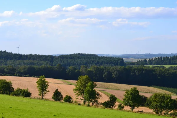 Landschaft Sommer Grün Und Schöne Landschaft Mitteleuropa — Stockfoto