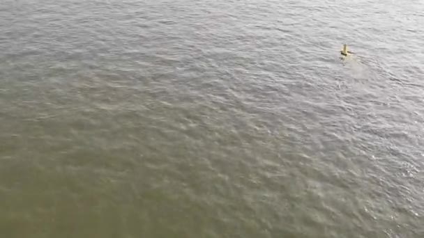 Вид Кёльн Моста — стоковое видео