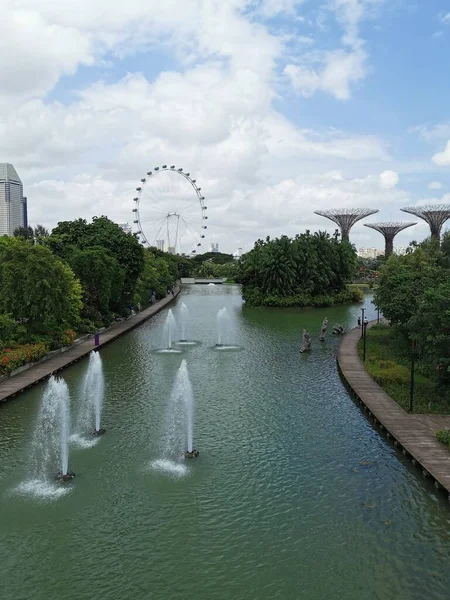 Сингапур Декабря 2019 Года Вид Сады Залива Сингапурский Флаер — стоковое фото