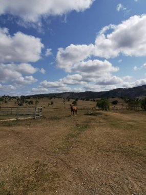 Gunalda 'da manzaralı bir çiftlik.