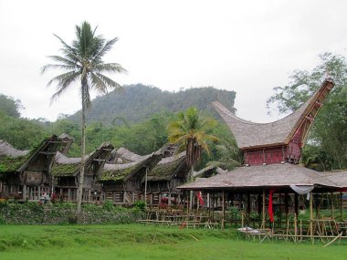 Geleneksel Toraja kabile evinin karakteristik şekli.