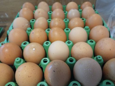 Raftaki tavuk yumurtaları.