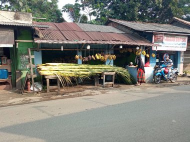 Ramazan ayında ketupat (elmas pirinç) yapmak için genç hindistan cevizi yaprakları