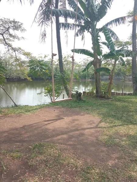 Schaukeln Vor Einem Restaurantgarten — Stockfoto