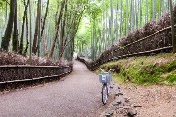 Arashiyama Bamboo Path, Japón — Foto de Stock