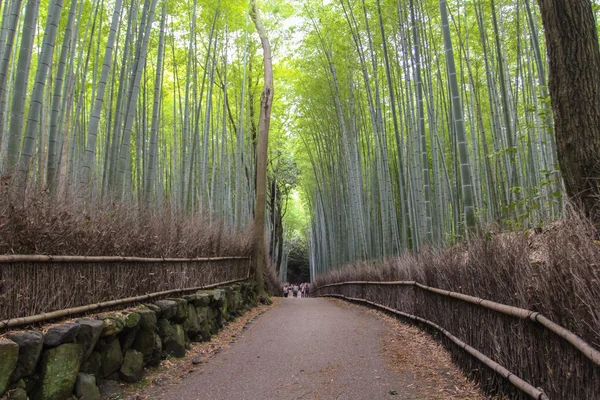 Arashiyama Bamboo Path, Japón — Foto de Stock